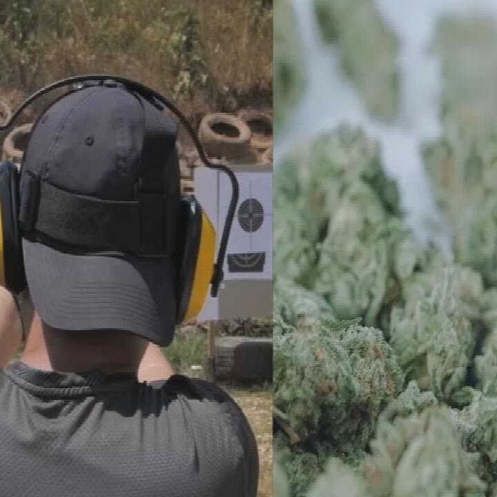 Medical marijuana and gun ownership